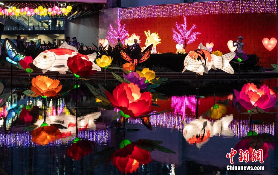 元宵節(jié)控え、華やかなランタンが登場　香港特區(qū)