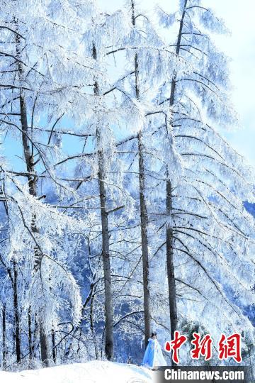 降雪後の快晴迎えた湖北省神農(nóng)架