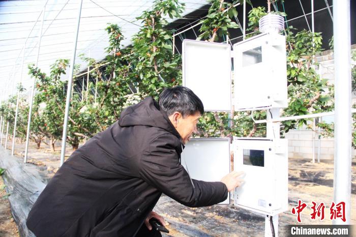 ハウスのデータをチェックする職員。畫像提供は海陽市黨委員會宣伝部