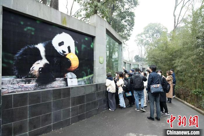  3月10日、四川省雅安市へジャイアントパンダを見に訪れた日本の大學(xué)生。（撮影?邱川浩）
