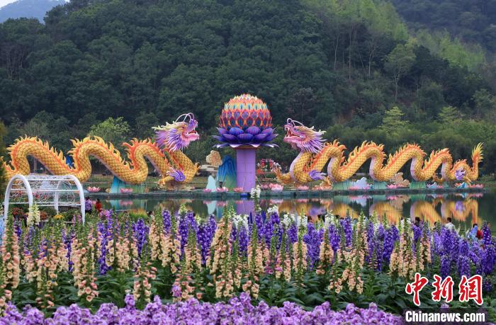 色鮮やかに咲き誇る花々　広西?南寧