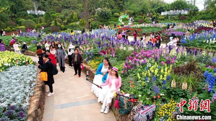 色鮮やかに咲き誇る花々　広西?南寧