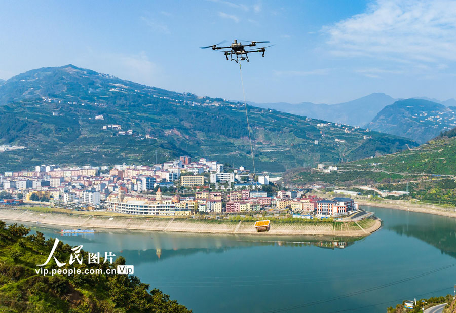 湖北省宜昌市秭帰県水田壩郷竜口村で、収穫したばかりのネーブルオレンジを農(nóng)業(yè)用ドローンで運搬する様子（3月14日、撮影?鄭家裕/寫真著作権は人民図片が所有のため転載禁止）。