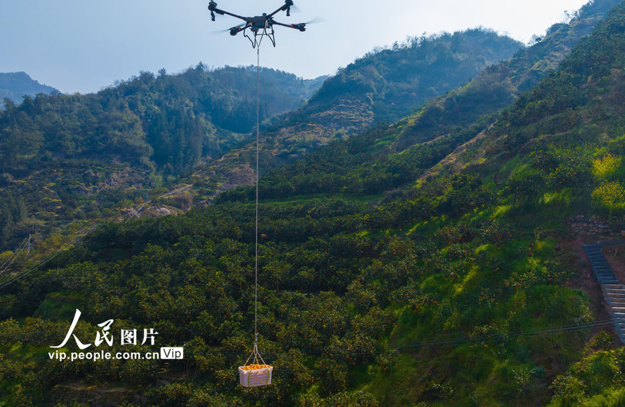 産業(yè)振興に寄與する農(nóng)業(yè)機(jī)械　湖北省秭帰