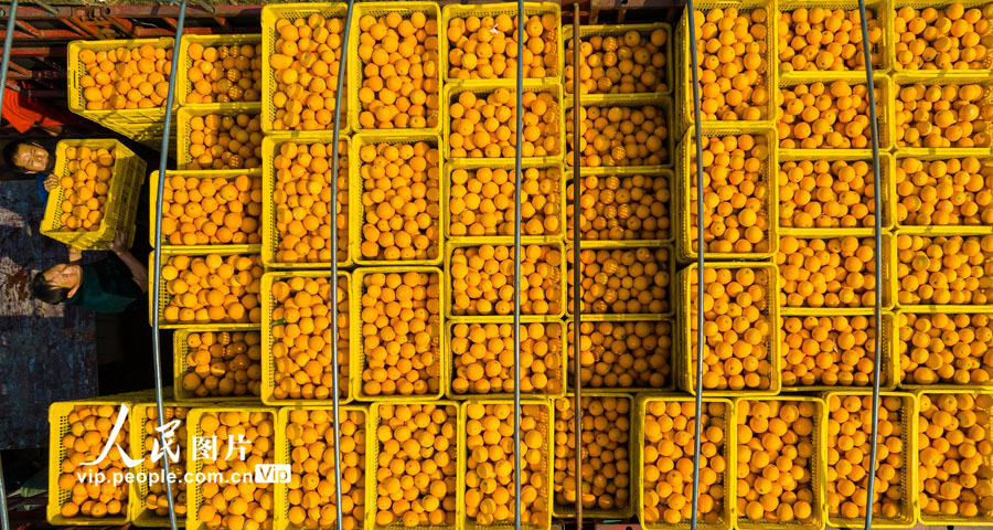 産業(yè)振興に寄與する農(nóng)業(yè)機(jī)械　湖北省秭帰