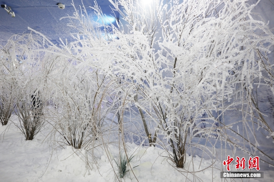 四季を通じて霧氷を楽しむ？氷雪ツアー人気の維持をバックアップするハイテクの力　吉林省