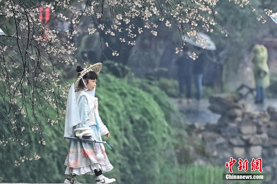 望月公園で漢服姿で桜を楽しむ園遊會　湖南省