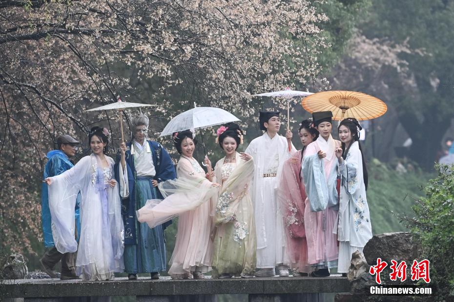 望月公園で漢服姿で桜を楽しむ園遊會　湖南省