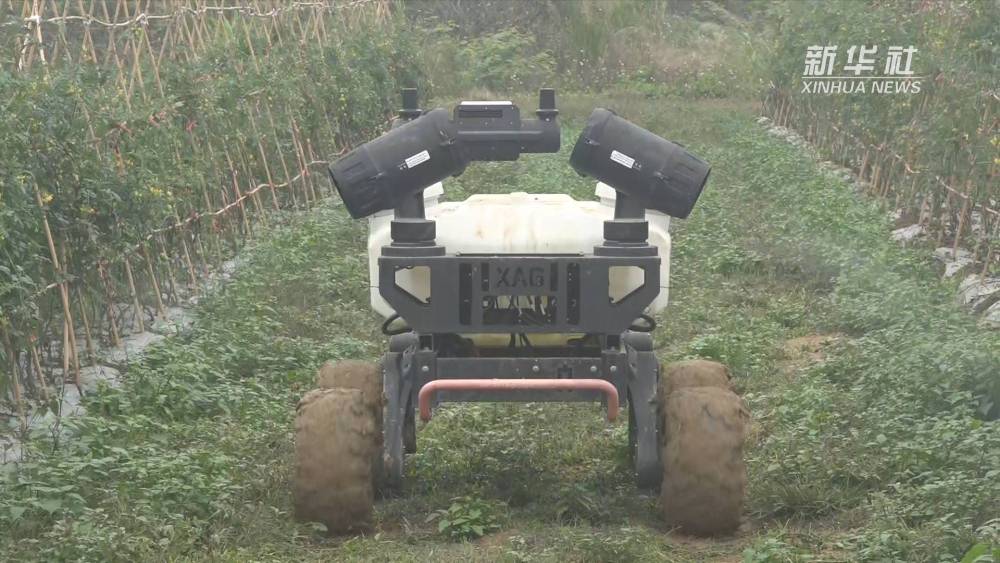 ハイテクを駆使した「スーパー農(nóng)場(chǎng)」の春の耕作　広東省