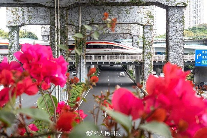 春に向かって出発進(jìn)行！