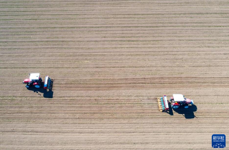 春の農(nóng)繁期迎えた中國各地