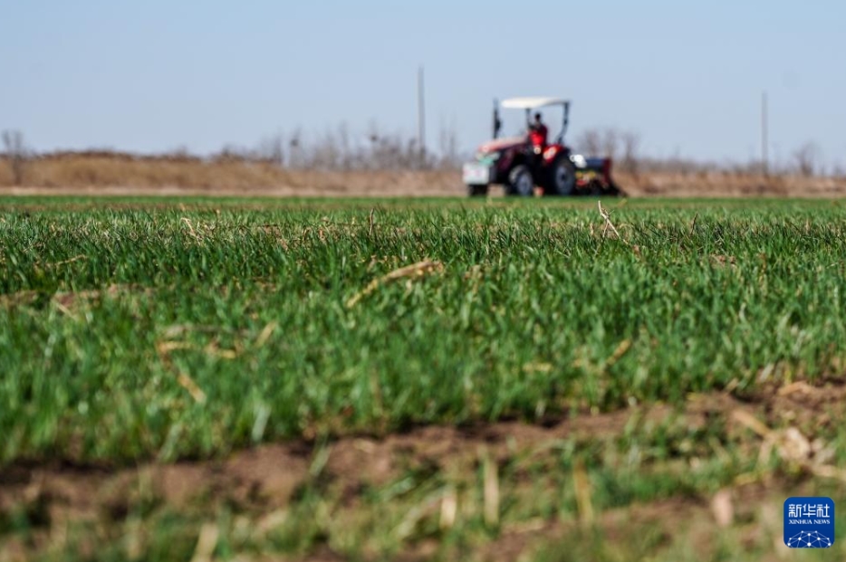 春の農(nóng)繁期迎えた中國各地