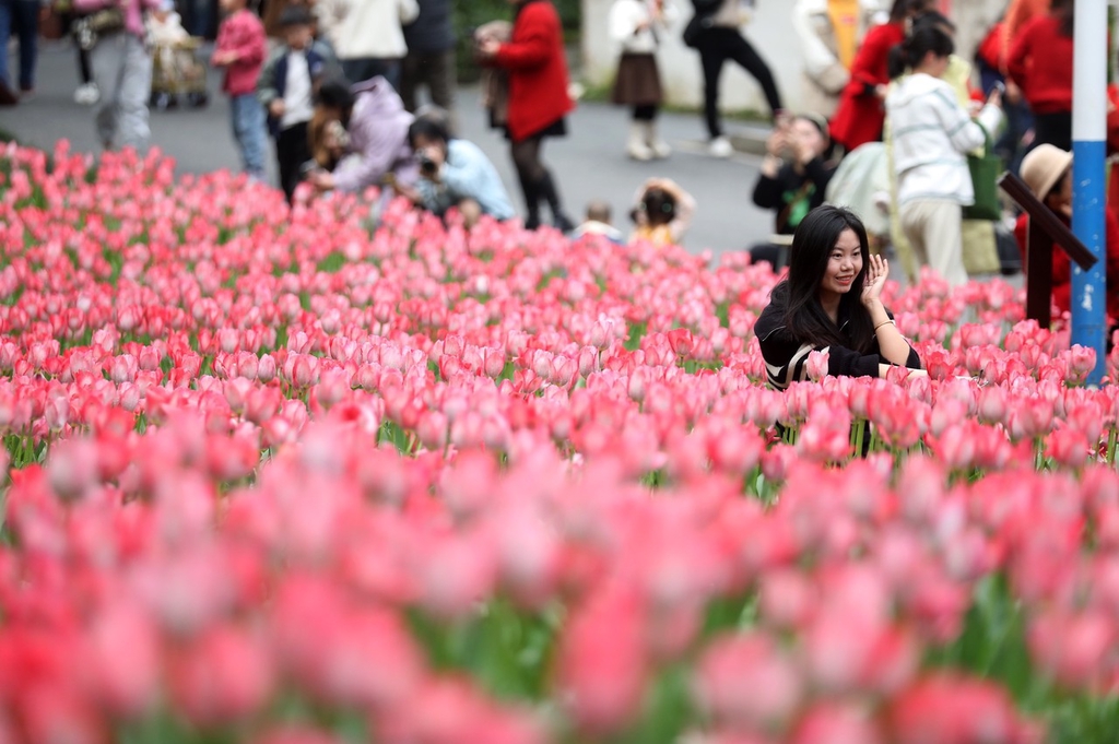 （寫真著作権は東方ICが所有のため転載禁止）