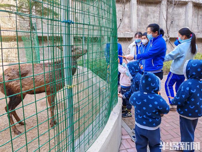 子どもたちのためにミニ動(dòng)物園を作った児童養(yǎng)護(hù)施設(shè)の院長