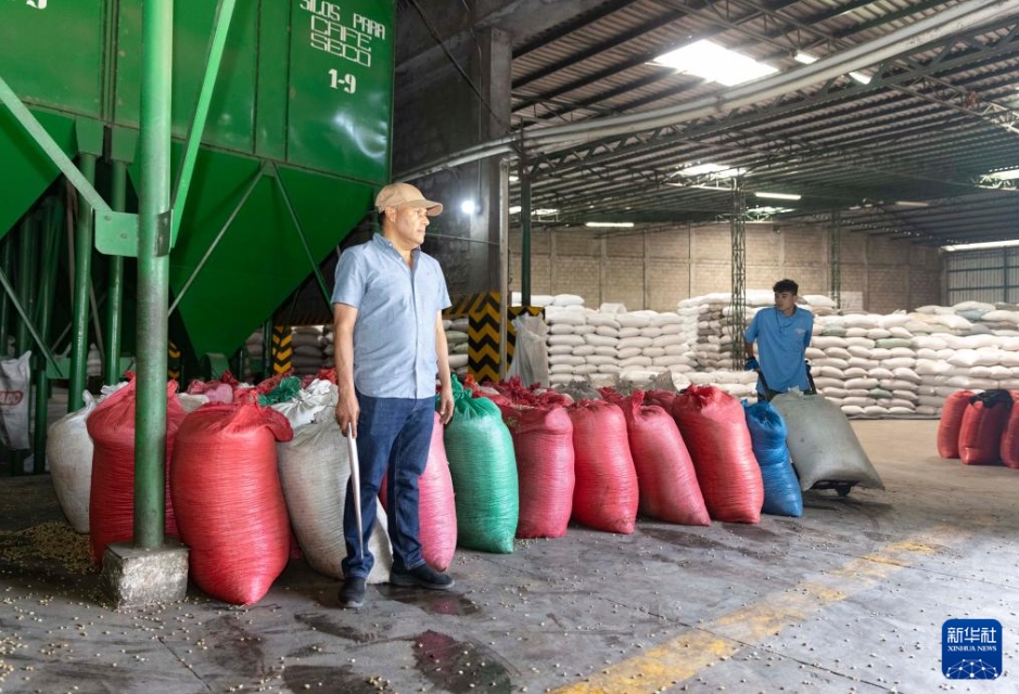 中國市場進出に期待を寄せるホンジュラスのコーヒー企業(yè)