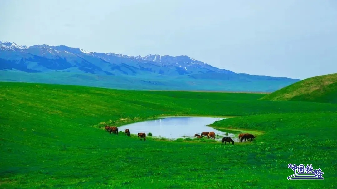 那拉提（ナラティ）大草原。