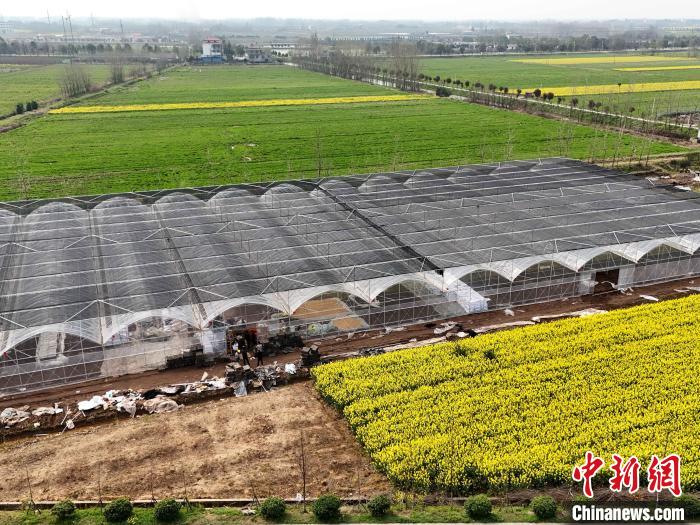 3月22日、熊姣軍さんの會社の大通湖區(qū)にあるスマート育苗ビニールハウス。（撮影?徐鋼）