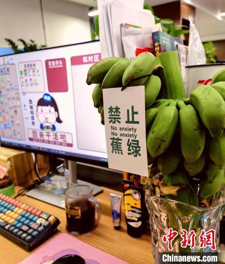 馬牧牧さんは最近買った水耕栽培バナナをワークスペースで育てている。（寫真提供は本人）