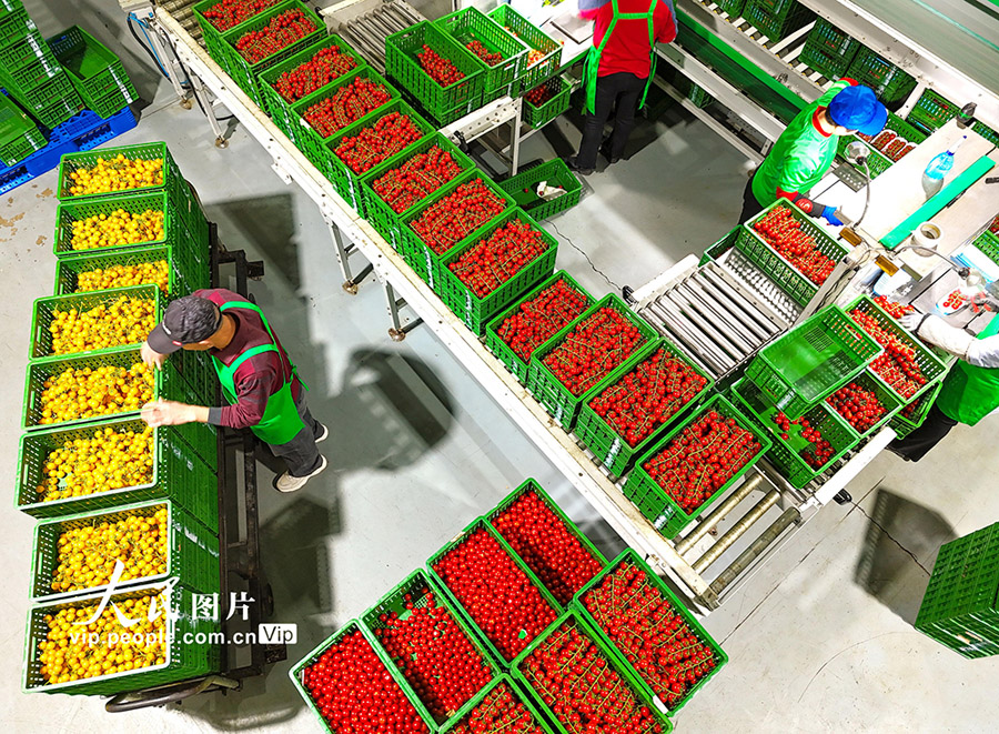 スマート農(nóng)業(yè)が農(nóng)業(yè)の効率向上と農(nóng)民の収入増加の「金の天秤棒」に