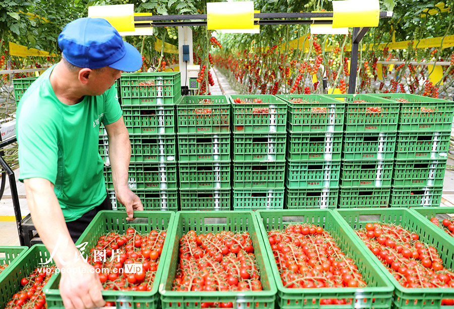 スマート農(nóng)業(yè)が農(nóng)業(yè)の効率向上と農(nóng)民の収入増加の「金の天秤棒」に