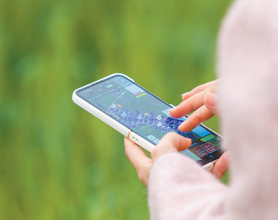 攜帯アプリで冬小麥の成長具合をチェックする王伶俐氏。