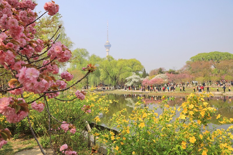 （畫像著作権は東方ICが所有のため転載禁止）