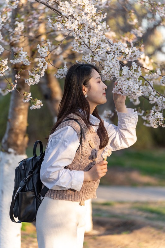 （畫像著作権は東方ICが所有のため転載禁止）