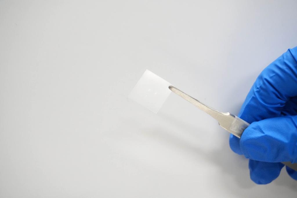 溶融石英上の「回転角菱面體晶窒化ホウ素」。（畫像提供は取材先）