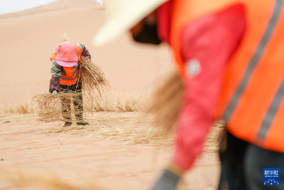 春を迎えた內(nèi)蒙古トングリ砂漠　「草方格」で砂漠化対策