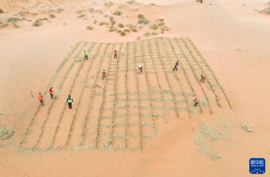 春を迎えた內(nèi)蒙古トングリ砂漠　「草方格」で砂漠化対策