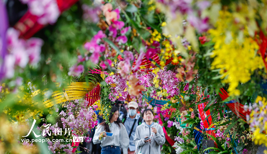第6回上海國(guó)際蘭展が開幕