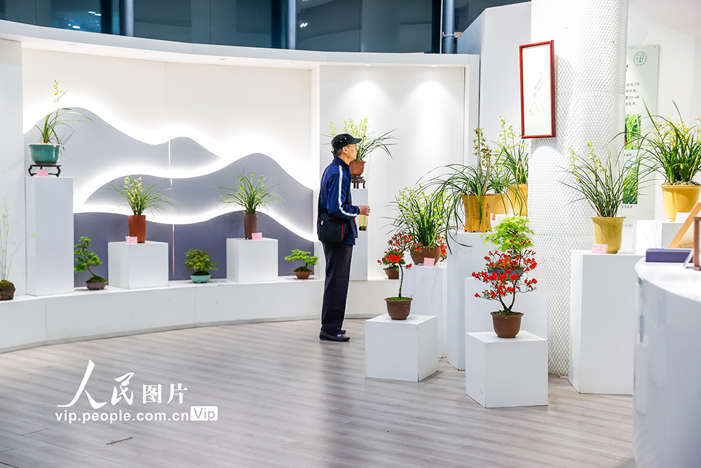 第6回上海國(guó)際蘭展が開幕