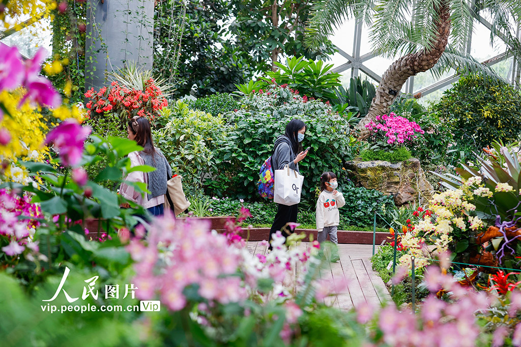 第6回上海國際蘭展が開幕