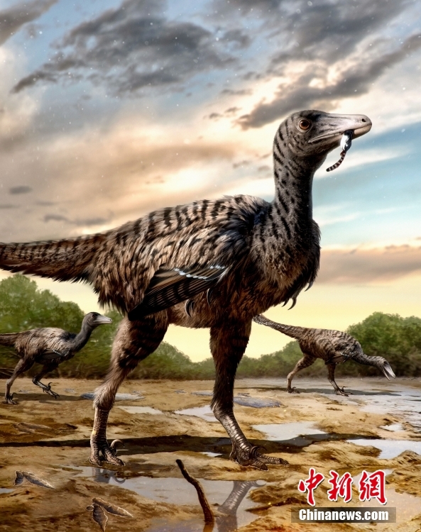 福建で発見(jiàn)されたデイノニクスの足跡は世界最大　新種類も確立