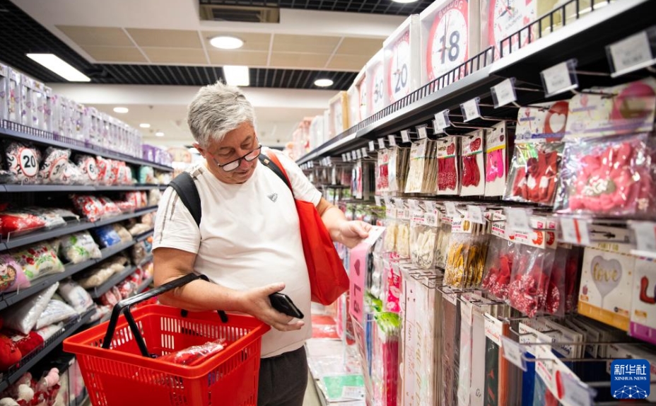 中歐商貿(mào)物流合作パークを訪ねて　ハンガリー?ブダペスト