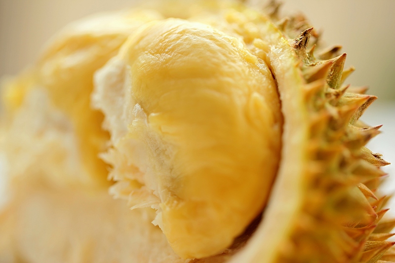 （畫(huà)像著作権はCFP視覚中國(guó)所有のため転載禁止）