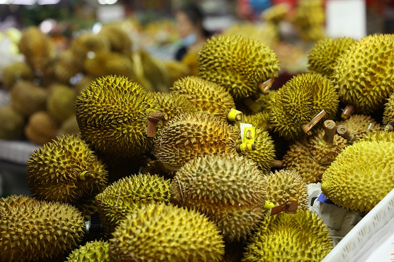 （畫(huà)像著作権はCFP視覚中國(guó)所有のため転載禁止）