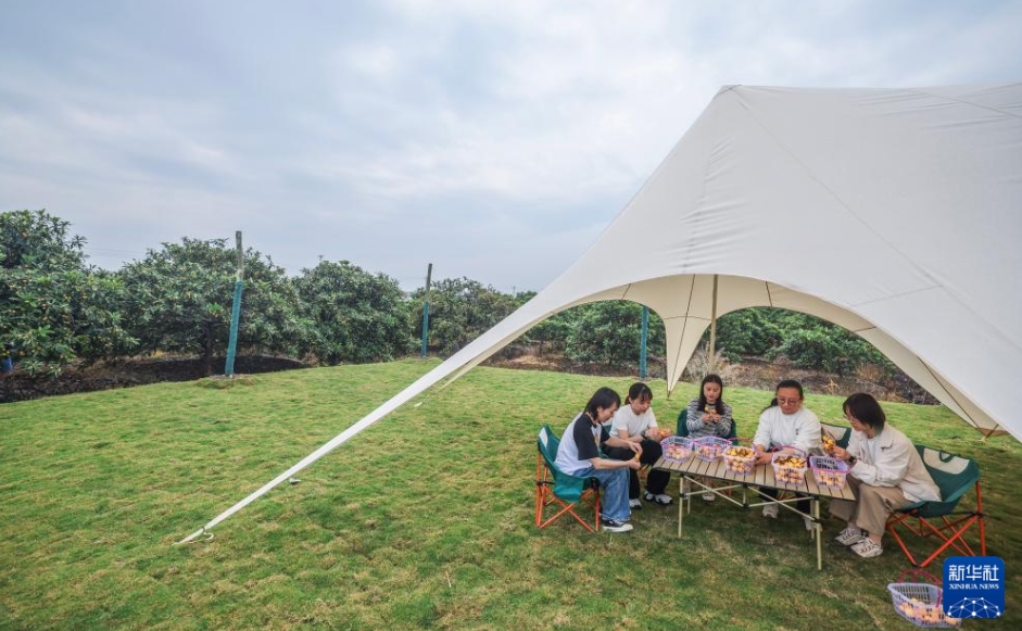 豊作を迎えた「ビワの里」、住民の富?；蜥嵫氦贰≌憬?></a></td></tr><tr><td class=