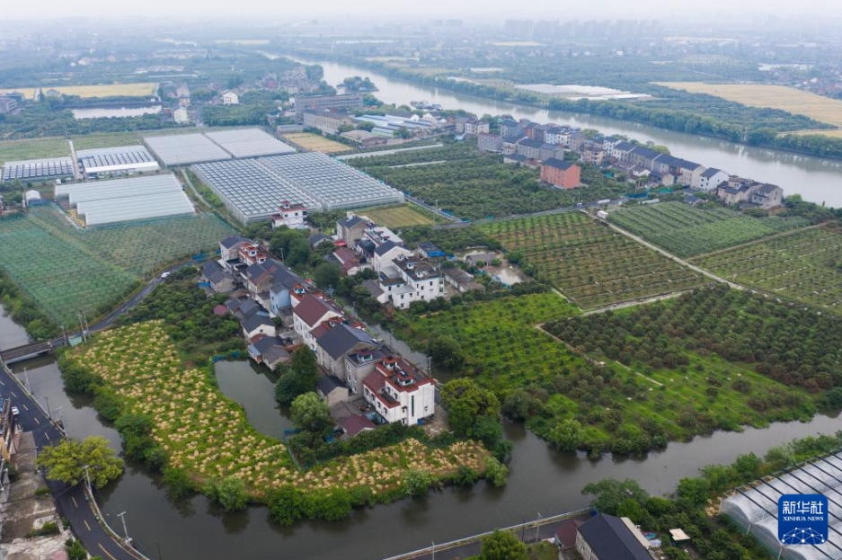 豊作を迎えた「ビワの里」、住民の富?；蜥嵫氦贰≌憬?></td></tr><tr><td class=