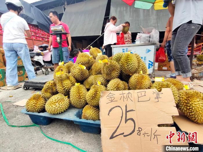 収穫?販売ピークを迎えたドリアン　広西?南寧