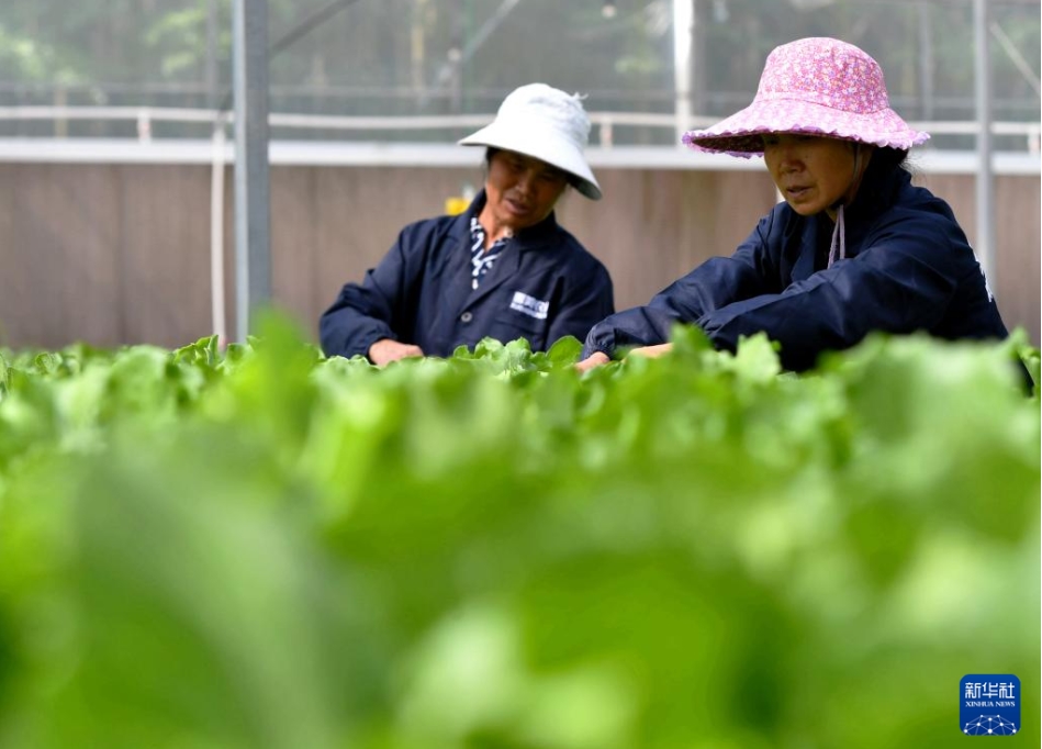 地域の魅力アピールし、住民生活を豊かにする「地元特産品」　福建省福州長楽