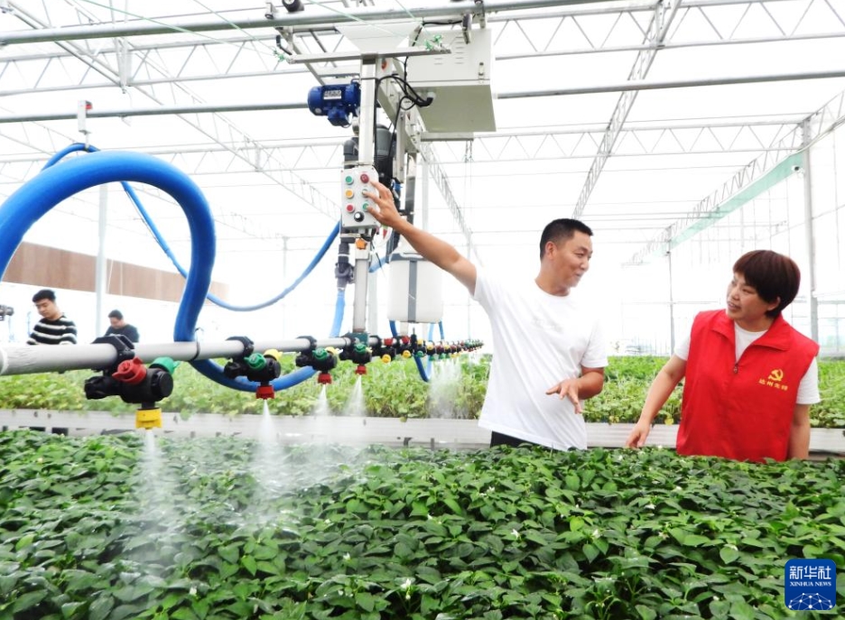 「デジタルの翼」で農(nóng)村振興　四川省達(dá)州