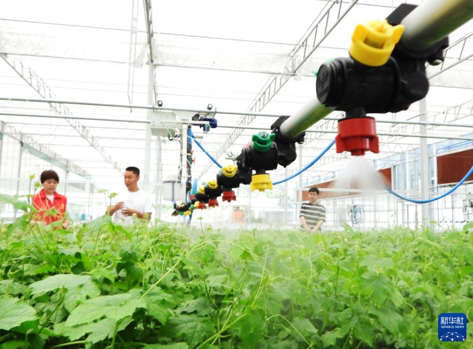 「デジタルの翼」で農(nóng)村振興　四川省達州