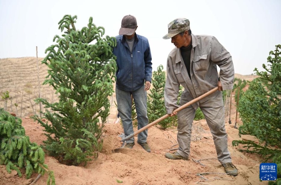 緑化を進(jìn)める庫布其砂漠　內(nèi)蒙古