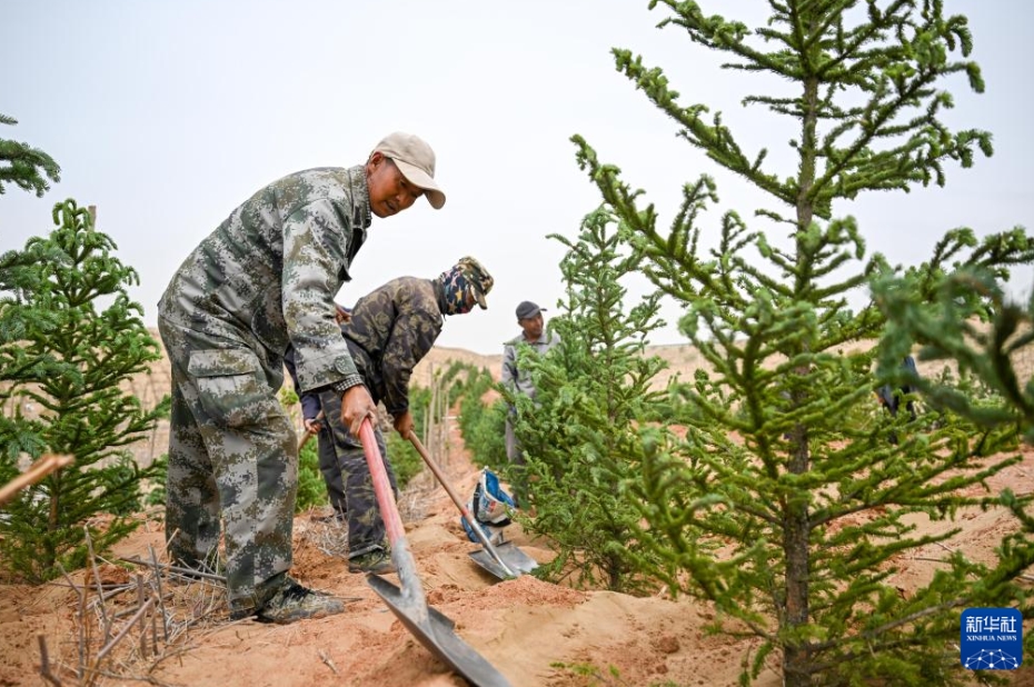 緑化を進(jìn)める庫(kù)布其砂漠　內(nèi)蒙古