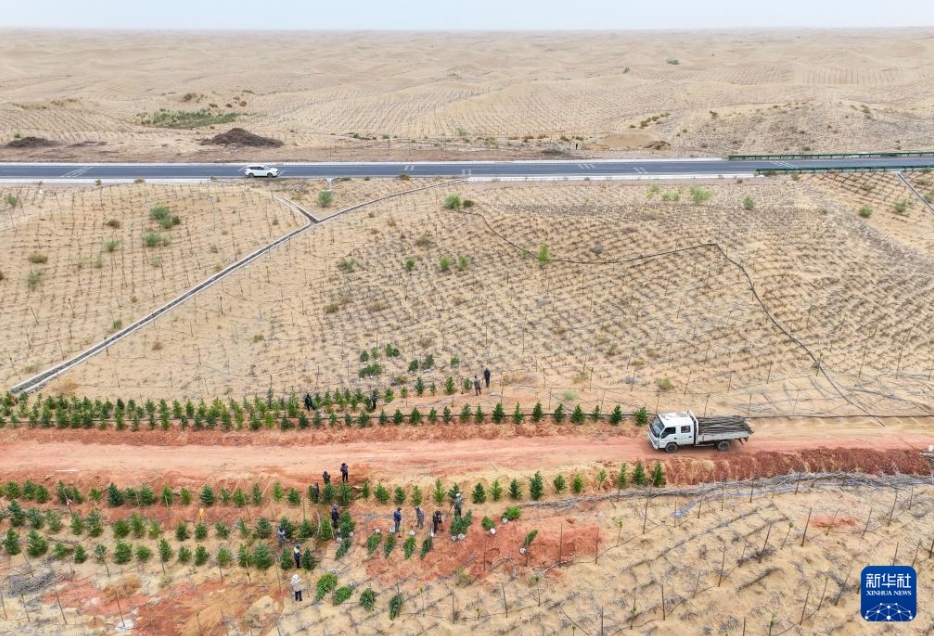 緑化を進める庫布其砂漠　內(nèi)蒙古