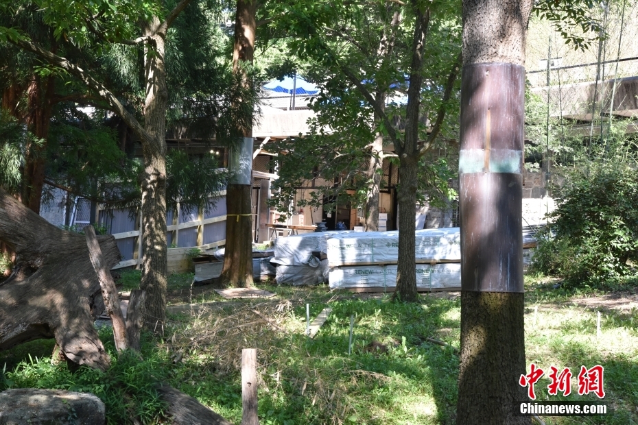 米ワシントン國(guó)立動(dòng)物園が今年末にパンダ2頭を受け入れることを発表