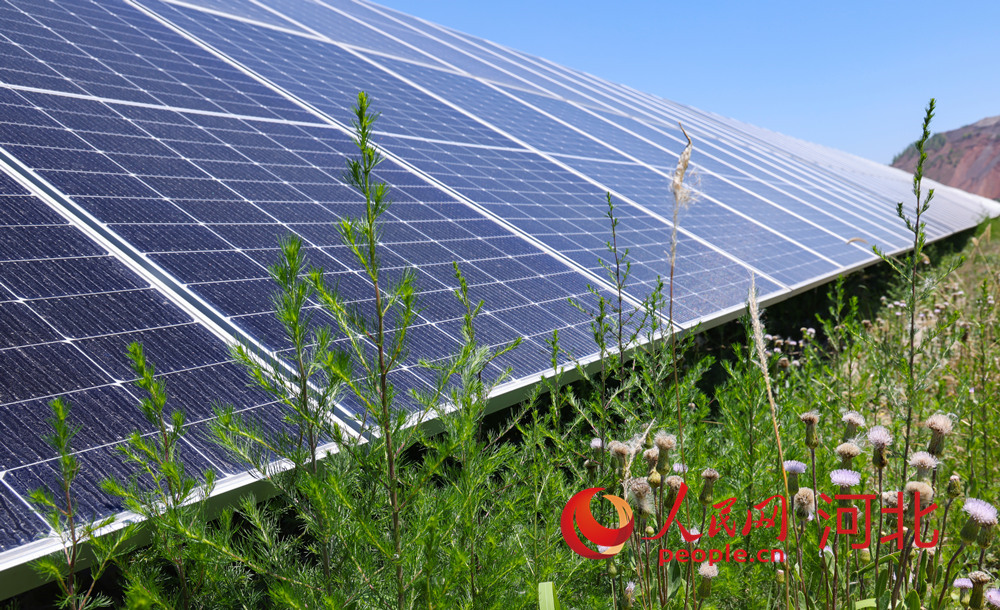 中電建首鋼鉱業(yè)100MW太陽光発電鉱山ガバナンスクリーンエネルギーモデルプロジェクトに設(shè)置されたソーラーパネル（撮影?李兆民）。