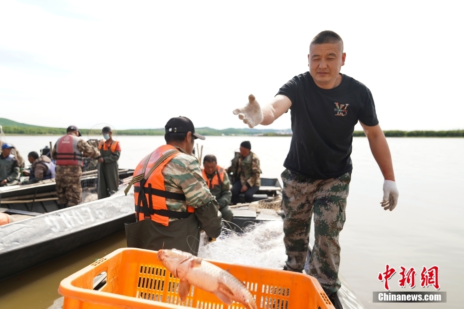 大市場(chǎng)へ「泳ぎ出した」冷水魚　黒竜江省撫遠(yuǎn)