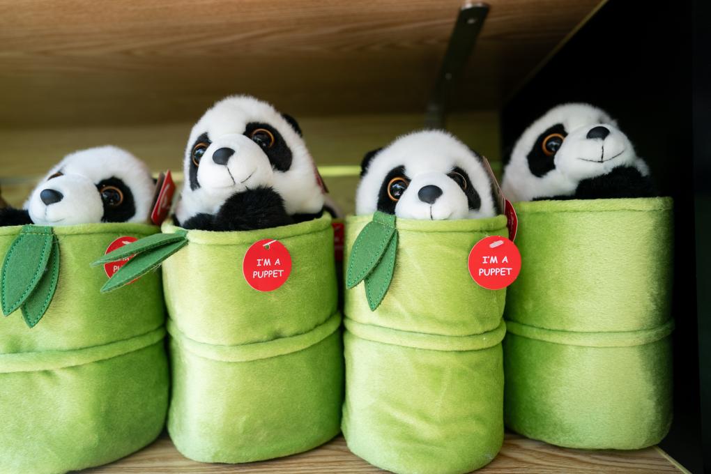 スミソニアン國立動(dòng)物園で撮影したパンダがテーマのグッズ。同動(dòng)物園は同日、中國と新たなパンダ國際保護(hù)共同研究を?qū)g施することを発表（5月29日撮影?劉傑）。